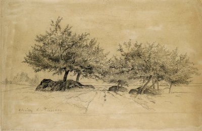 Chailly, vers 1859 - Camille Pissarro