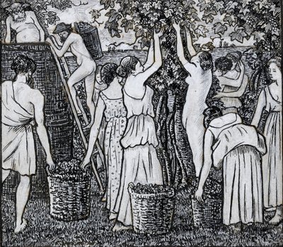 Vendange, étude de composition pour une illustration de 