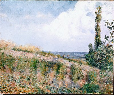 Paysage - Camille Jacob Pissarro