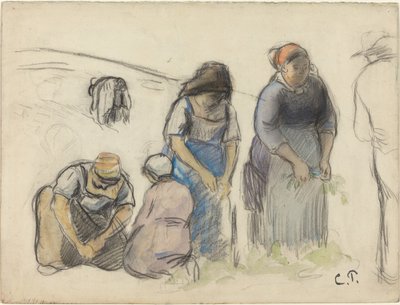 Récolteurs de pois [recto] - Camille Pissarro