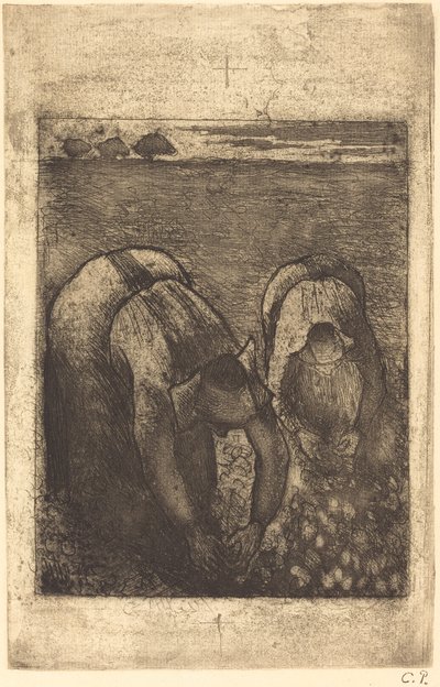 Paysannes dans un champ de haricots - Camille Pissarro