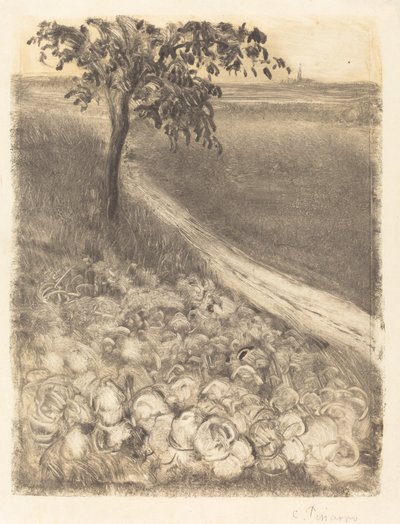 Route près d