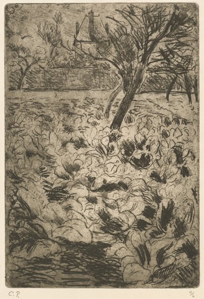 Le champ de choux - Camille Pissarro