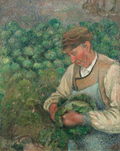 Le Jardinier - Vieux Paysan avec Chou, 1883-1895 - Camille Pissarro