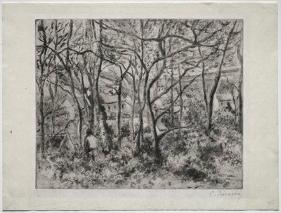 Paysage boisé à L