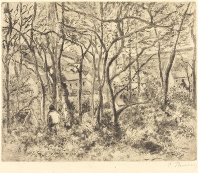 Paysage boisé à L