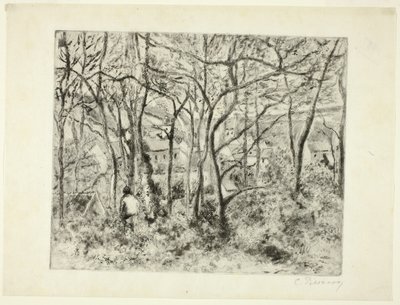 Bois à l