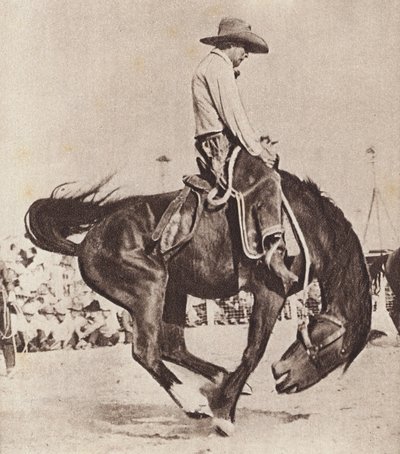 Cow-boy chevauchant un bronco (photo n/b) - Canadian Photographer