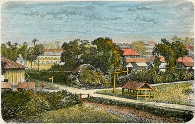 Tonga, vers 1885 - Canedi Barberis
