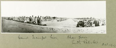 Lignes de transport de chameaux, Khan Yunis, octobre 1917 - Capt. Arthur Rhodes