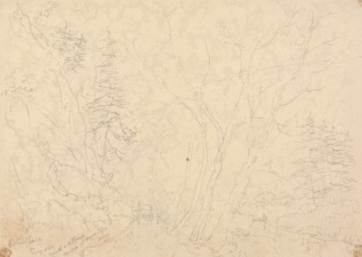 Holne Chase, 30 mai 1833 - Capt. Thomas Hastings