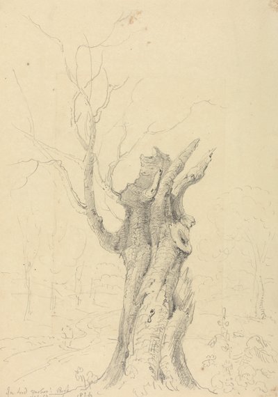 Dans le parc de Lord Yarborough, Appuldurcombe, Île de Wight - Capt. Thomas Hastings