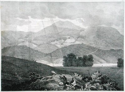Vue d
