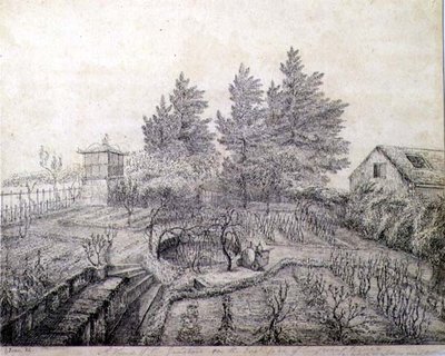 Vue des jardins de Napoléon Ier du côté est de Longwood House - Captain G. Rotton