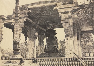 Grande Pagode, Grand Taureau, Vue de face, Tanjore, Inde Temple Rajarajesvara, 1857 - Captain Linnaeus Tripe