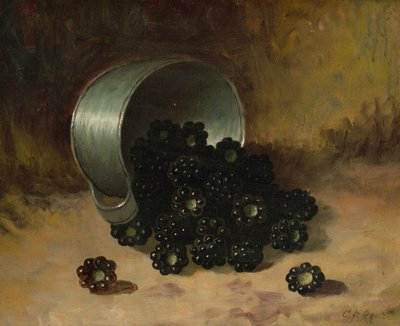 Blackberries Spilling from Tin Cup, s.d. (huile sur carton) - Carducius Plantagenet Ream