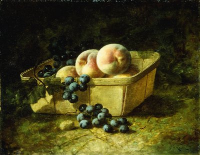 Pêches et raisins - Carducius Plantagenet Ream