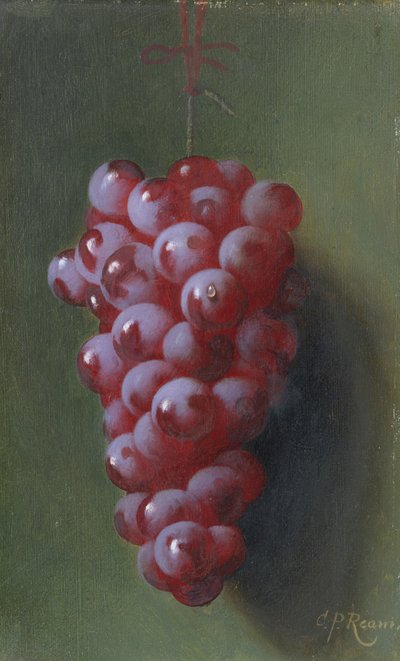 Nature Morte avec Raisins - Carducius Plantagenet Ream