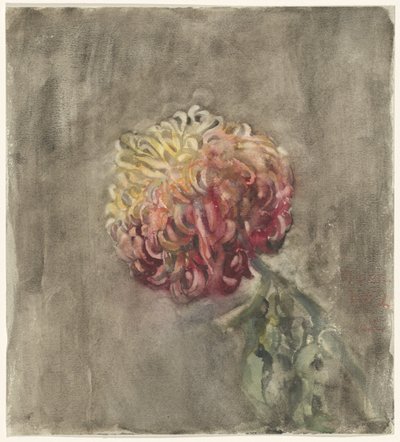 Chrysanthème rouge - Carel Adolph Lion Cachet