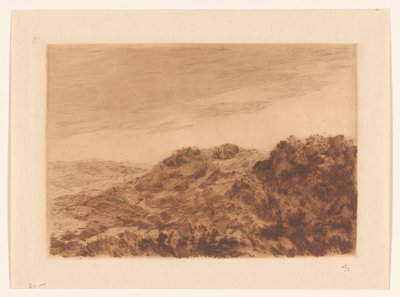 Paysage de dunes près de La Haye - Carel Nicolaas Storm van 