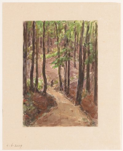 Chemin forestier à travers les collines de Baden-Baden - Carel Nicolaas Storm van 