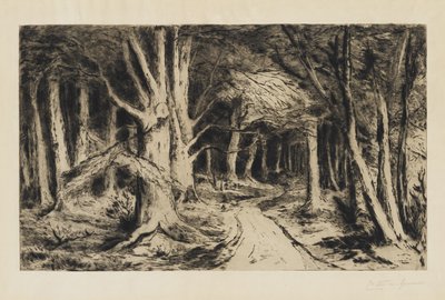 Chemin forestier, vers 1885 - Carel Nicolaas Storm van s Gravesande