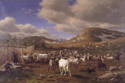 Un troupeau de rennes conduit à la place de traite. Motif des hautes montagnes au nord de Røros - Carl Bøgh