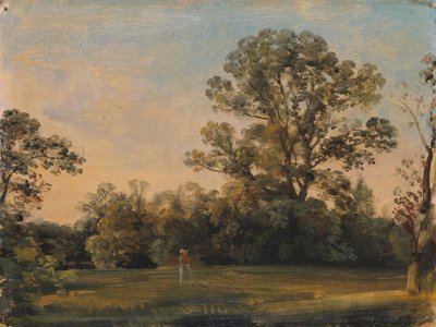 Paysage forestier avec château sur l