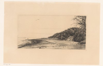 Lisière de forêt le long de l