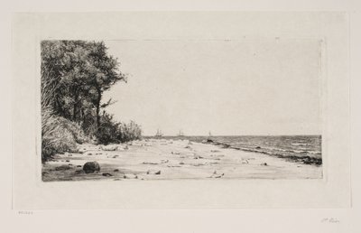 De la côte nord de la Zélande. La plantation de Hornbæk - Carl Bloch