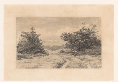Chemin de campagne avec des buissons, le long d
