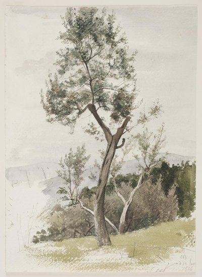 Arbres sur une pente de montagne - Carl Bloch