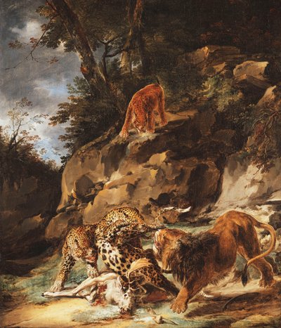 Un Lion Chassant une Paire de Léopards d