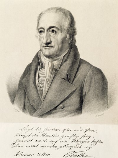 Portrait de Johann Wolfgang von Goethe - Carl Christian Vogel von Vogelstein