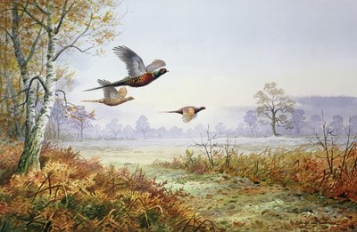 Faisans en vol - Carl Donner