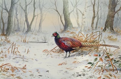 Faisans dans la neige - Carl Donner