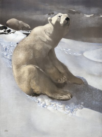 Ours polaire - Carl Ederer