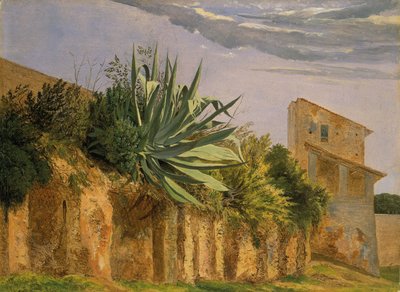 Sur la muraille de Rome - Carl Ernst Ludwig Wagner