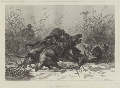 Une Chasse au Sanglier - Carl Friedrich Deiker