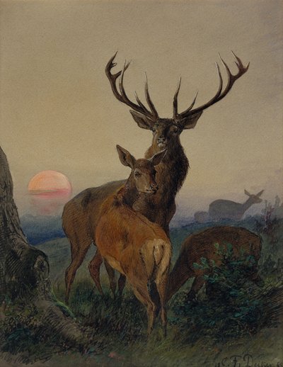 Un cerf avec une biche dans un paysage boisé au coucher du soleil - Carl Friedrich Deiker