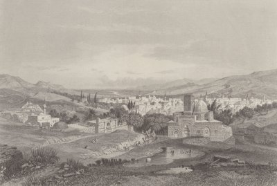 Rivières de Damas - Carl Friedrich Heinrich Werner