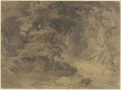  - Carl Friedrich Lessing