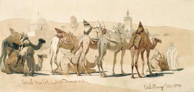 Marché aux chameaux à l