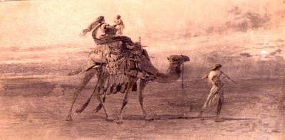 Voyage dans le désert - Carl Haag