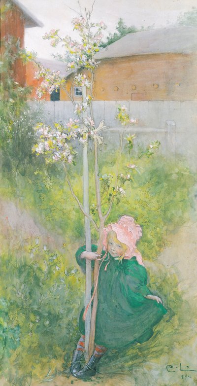 Fleur de pommier, 1894 - Carl Larsson