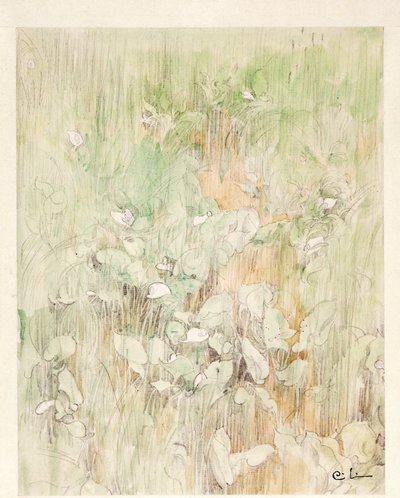 Kallor - Carl Larsson
