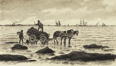 Paysans transportant des algues - Carl Locher