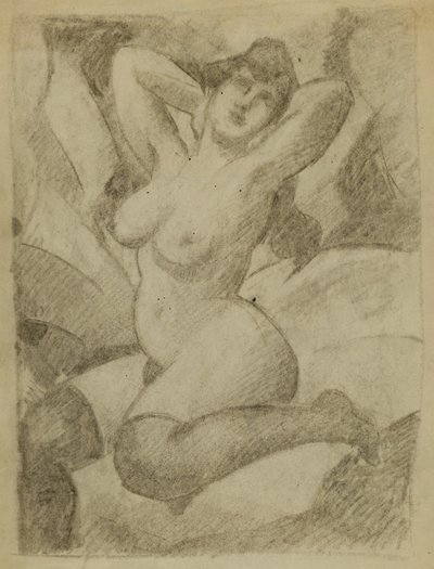 Femme nue avec des bas noirs - Carl Newman