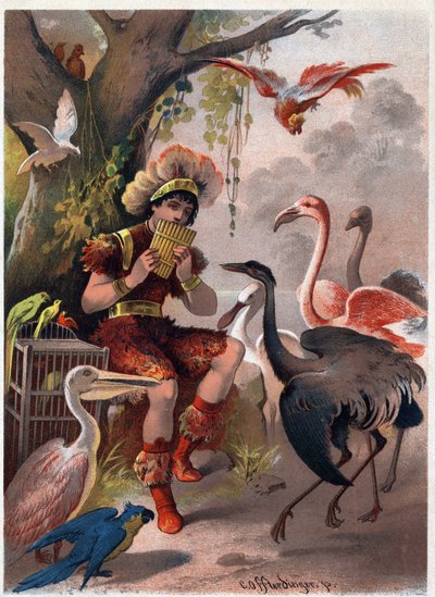 Papageno avec une flûte de Pan apporte les oiseaux de la forêt. Illustration de Carl Offterdinger (1829-1889) dans "La flûte enchantée". Collection privée. - Carl Offterdinger