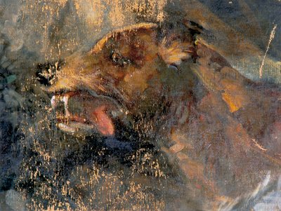 Tête de chien - Carl Rudolf Huber